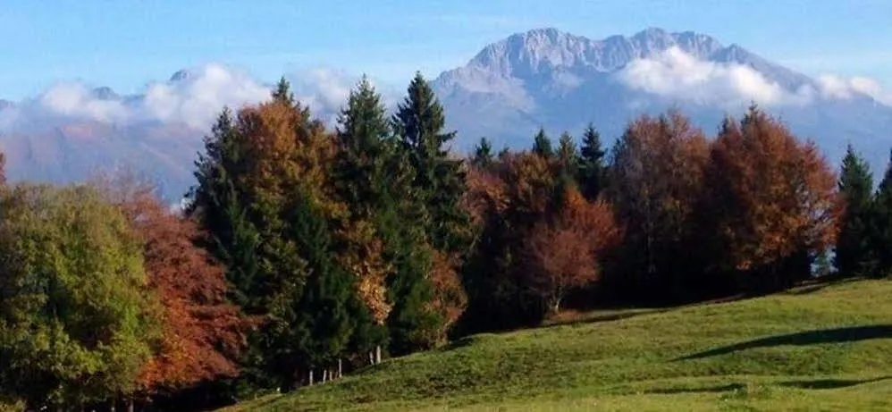 **** Hotell Lo Chalet Castione della Presolana Italien